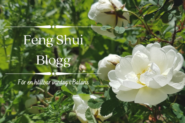 Rose´s Feng Shui blogg